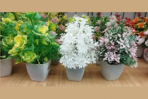 Mini Cute plants Set of 4