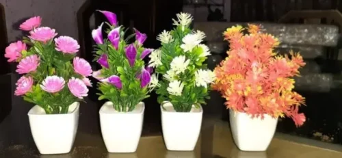 Mini Cute plants Set of 4 - Image 4