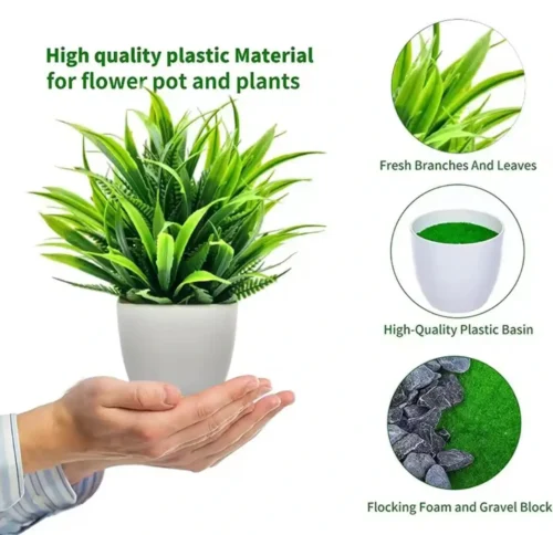 Mini Cute plant 4 pcs