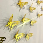 butterflyies