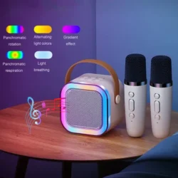Portable Wireless Speaker With 2 Mic