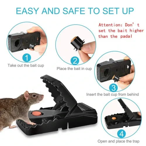 Mouse -trap-Online
