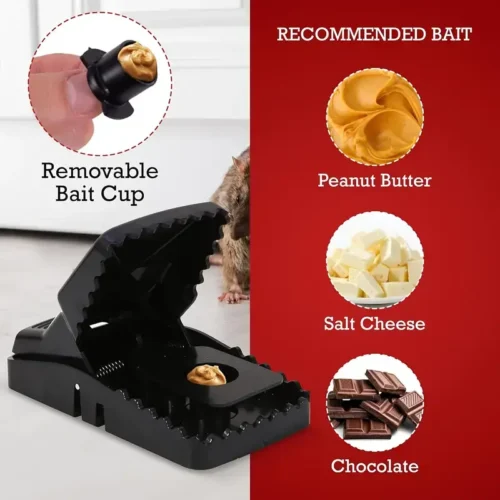 Reusable Mouse Catcher