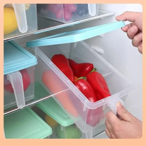 Transparent Food Container