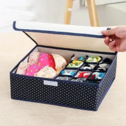 Undergarment Organizer Box