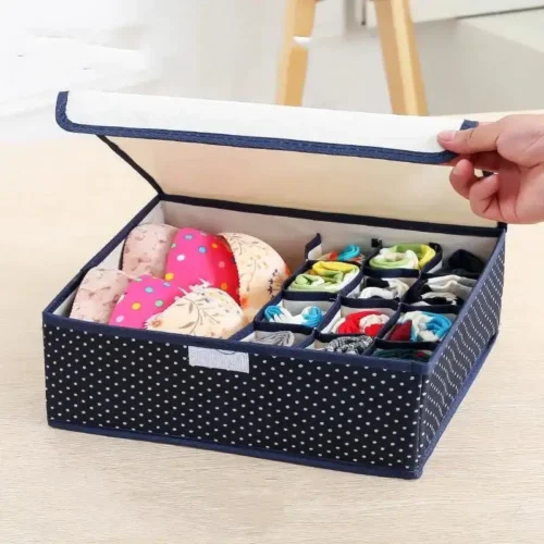 Undergarment Organizer Box
